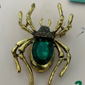Beautiful Spider Broach.